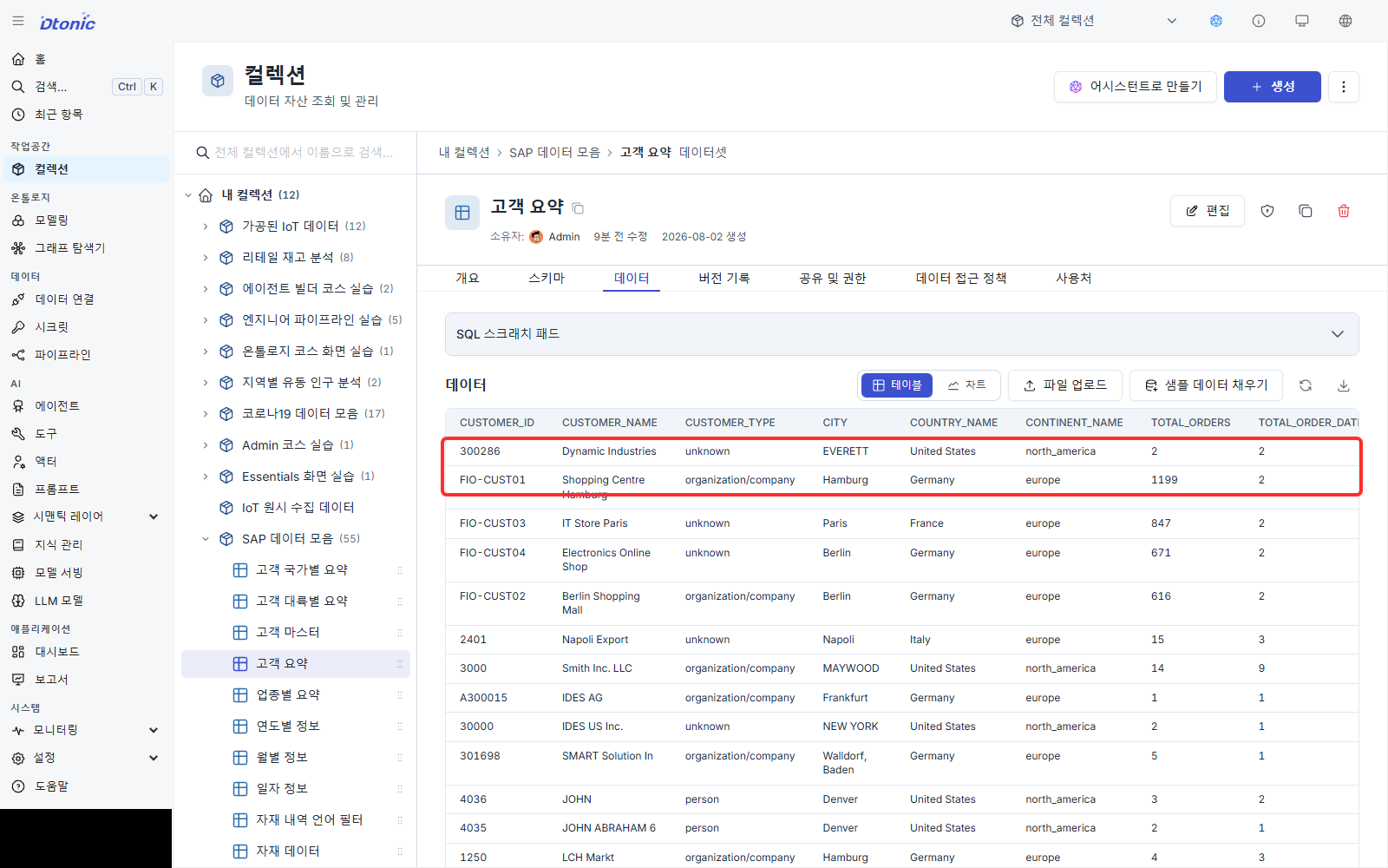 Dynamic Industries의 주문 2건과 Shopping Centre의 주문 1,199건을 함께 강조한 고객 요약 데이터셋